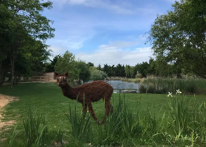 La Belle Etoile D'hotes *