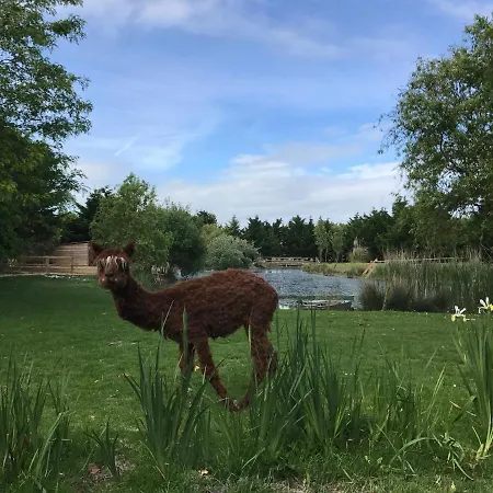 La Belle Etoile D'hotes *